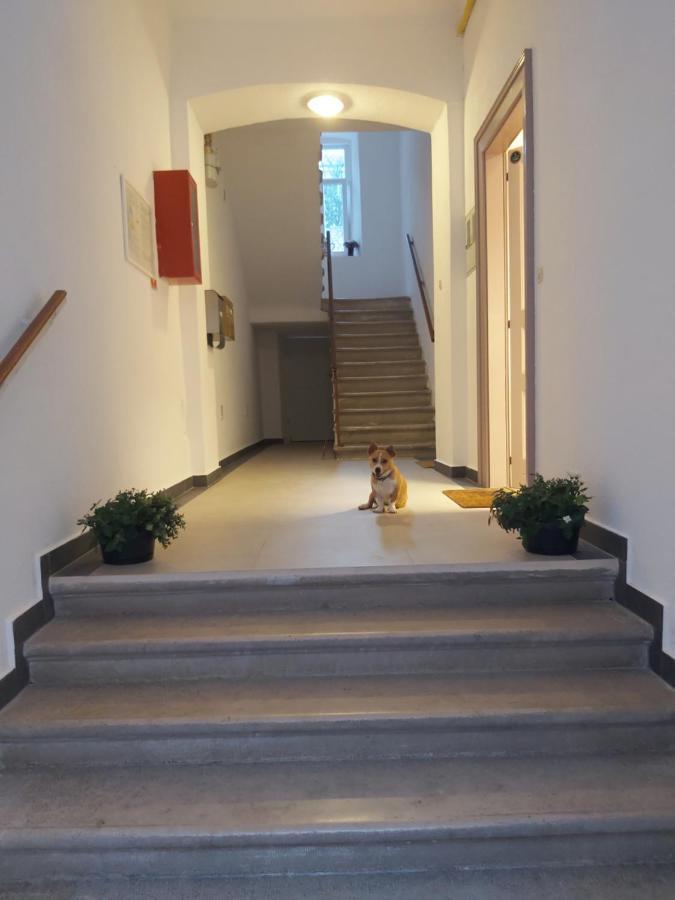 Apartman Draguc Póla Kültér fotó